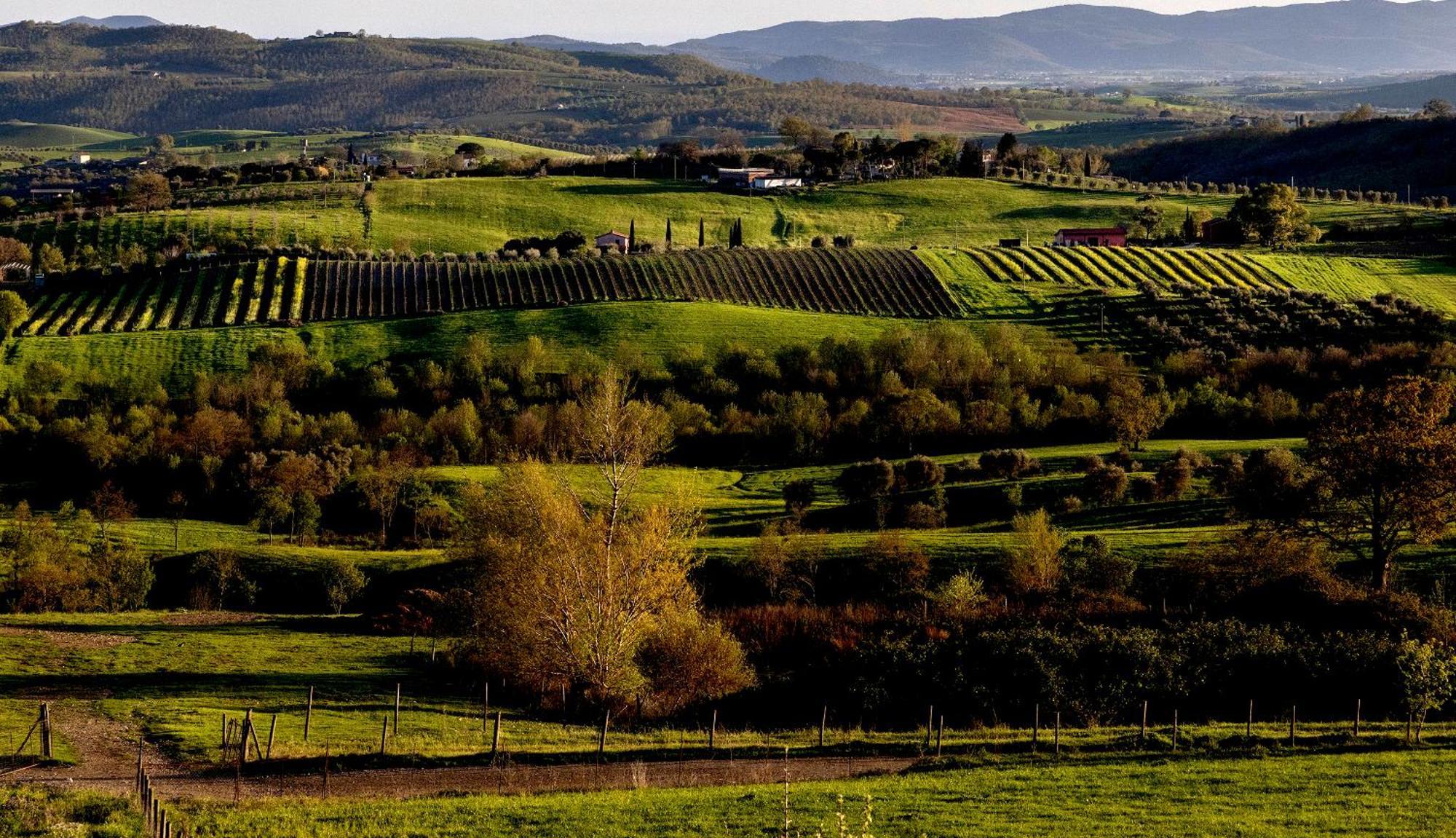 Poggio La Luna - La Casa Nel Vigneto Montemerano Luaran gambar